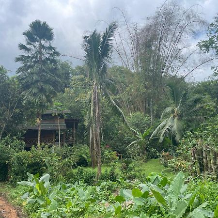 Caoni Riverside Lodge Puerto Quito Dış mekan fotoğraf