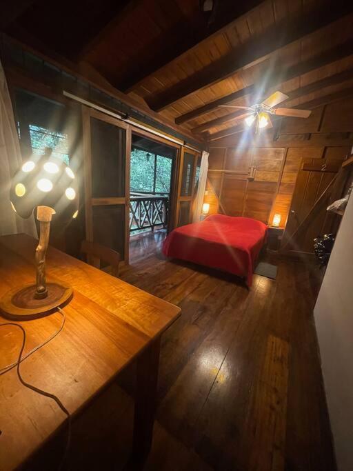 Caoni Riverside Lodge Puerto Quito Dış mekan fotoğraf