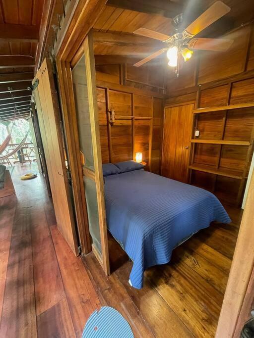 Caoni Riverside Lodge Puerto Quito Dış mekan fotoğraf