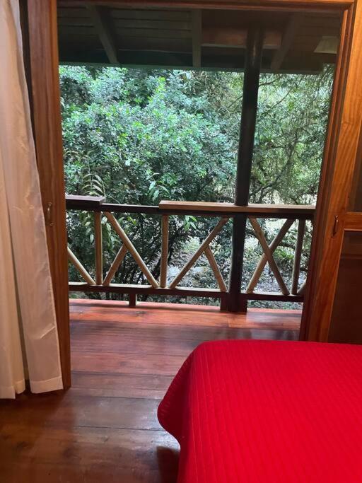 Caoni Riverside Lodge Puerto Quito Dış mekan fotoğraf