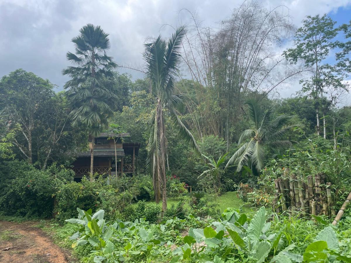 Caoni Riverside Lodge Puerto Quito Dış mekan fotoğraf