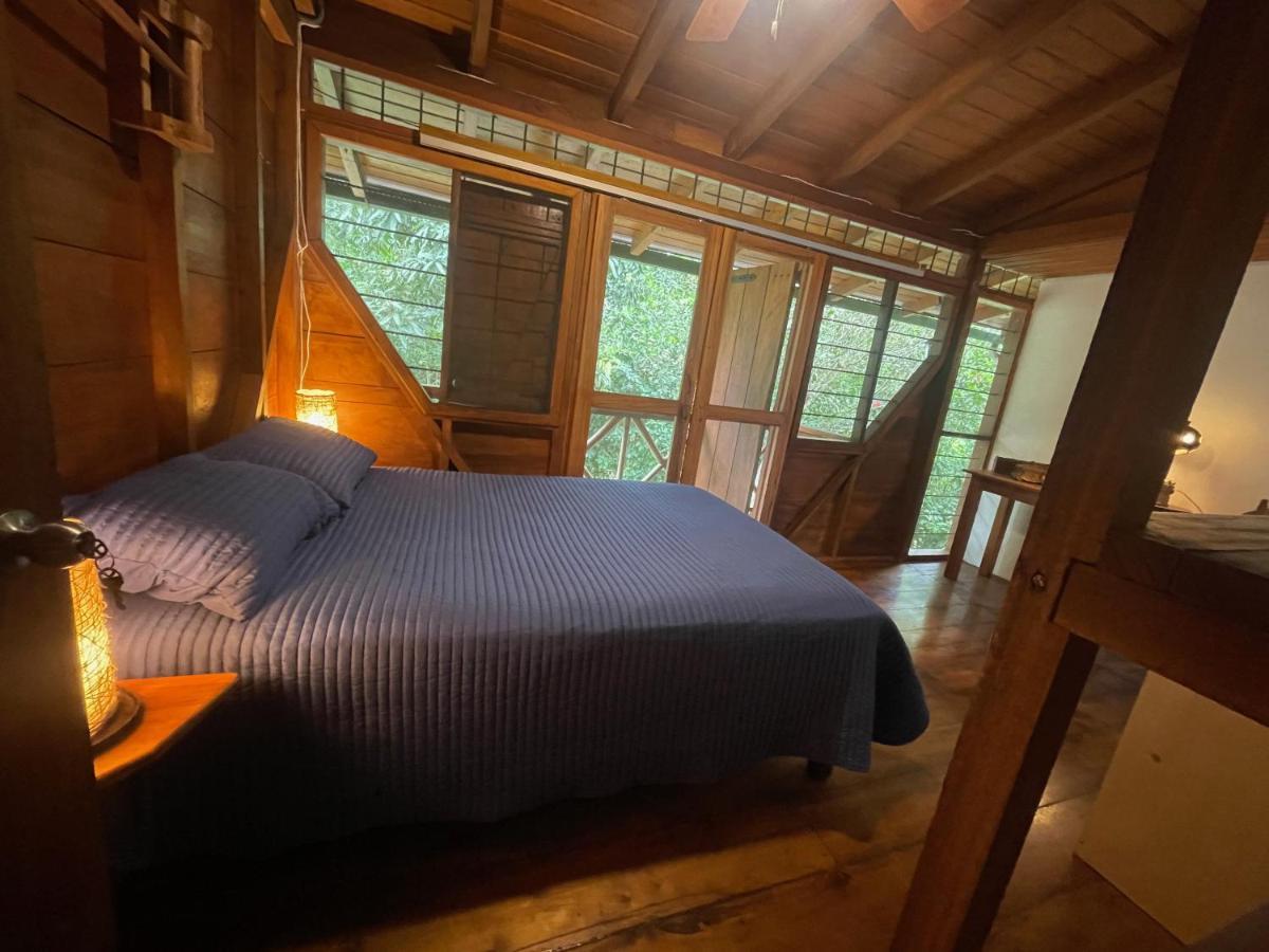 Caoni Riverside Lodge Puerto Quito Dış mekan fotoğraf