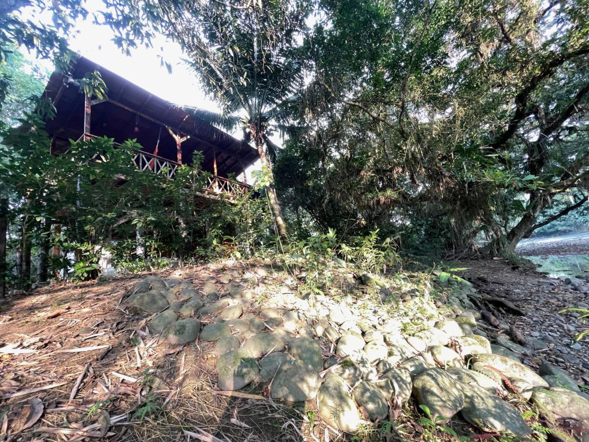 Caoni Riverside Lodge Puerto Quito Dış mekan fotoğraf