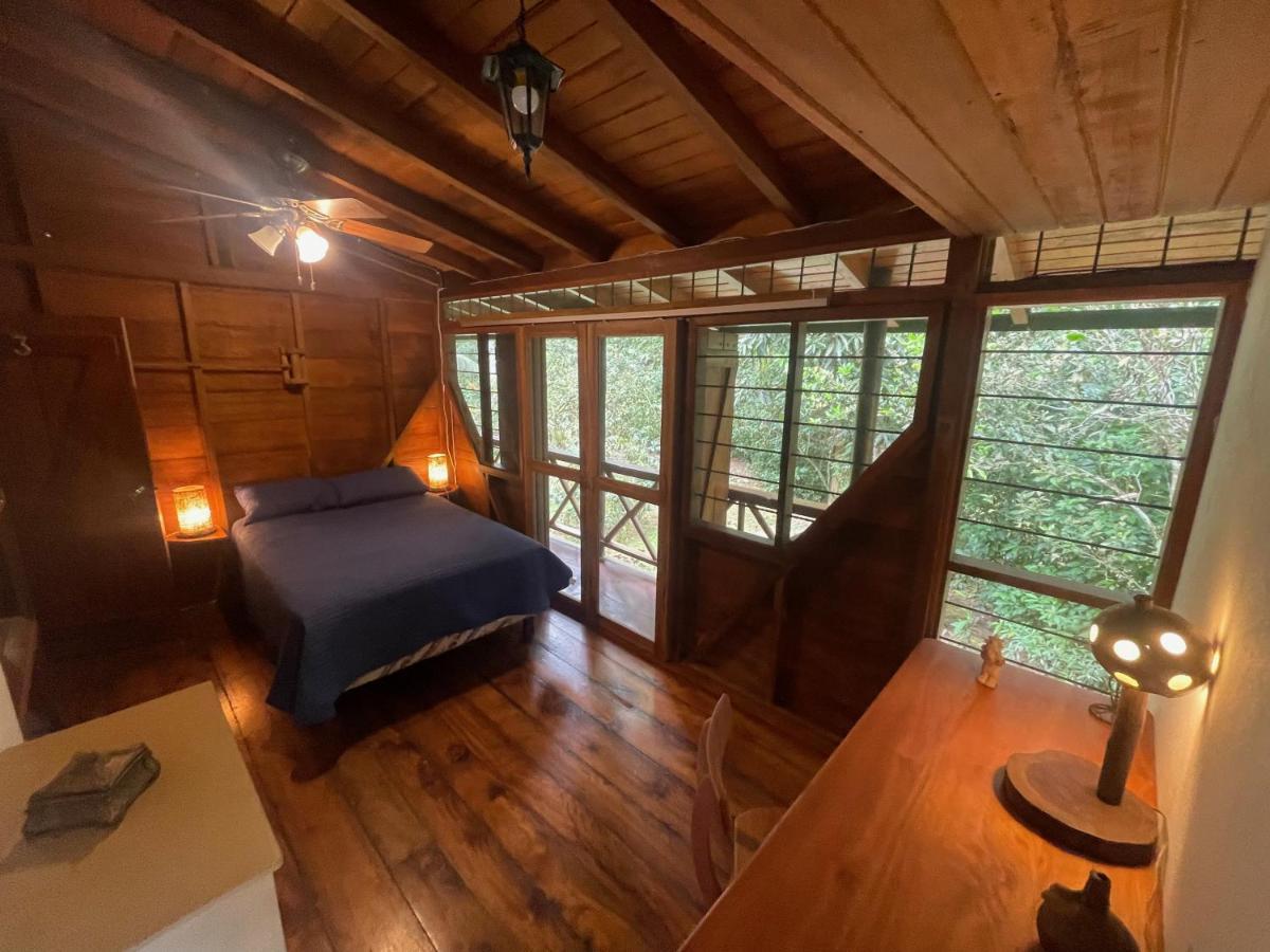 Caoni Riverside Lodge Puerto Quito Dış mekan fotoğraf
