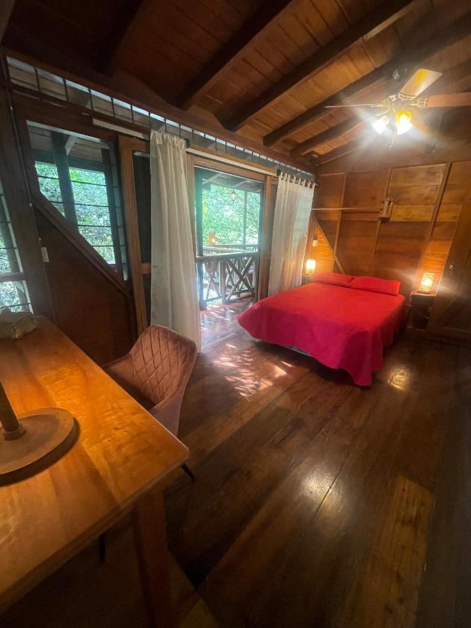 Caoni Riverside Lodge Puerto Quito Dış mekan fotoğraf