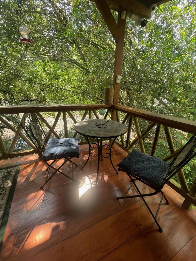 Caoni Riverside Lodge Puerto Quito Dış mekan fotoğraf